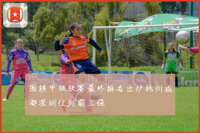 围棋甲级联赛最终排名出炉杭州成都深圳位列前三强